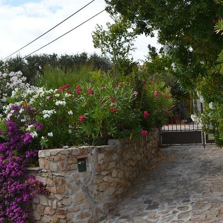 Apartment Les Moulins Saint-Tropez Esterno foto